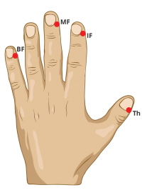 EFT Tapping points Location of Finger Points