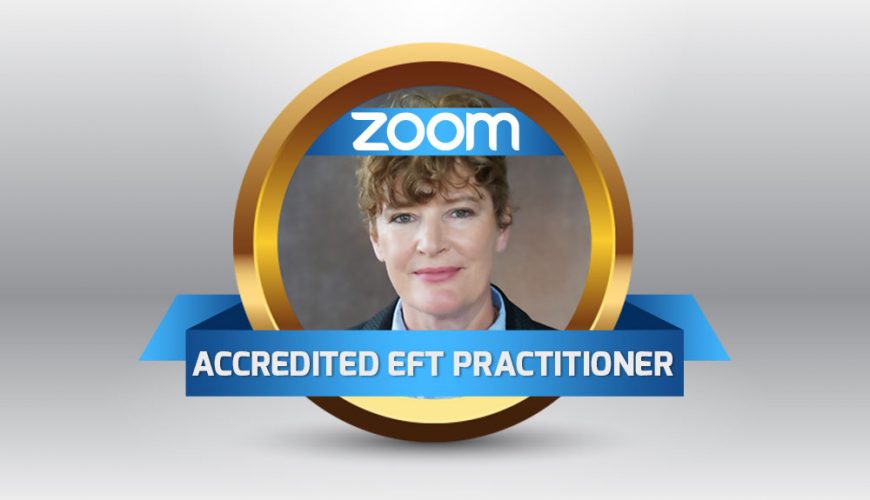 what is zoom training